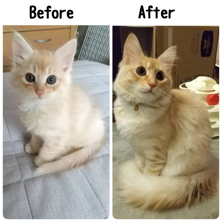 Ec24ac34 9093 4bd6 912e d9ea852de8dd 1616144264916