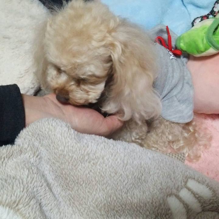 Ec24d793 9696 47ac 865b 3ce8336d7a77 1522496386404