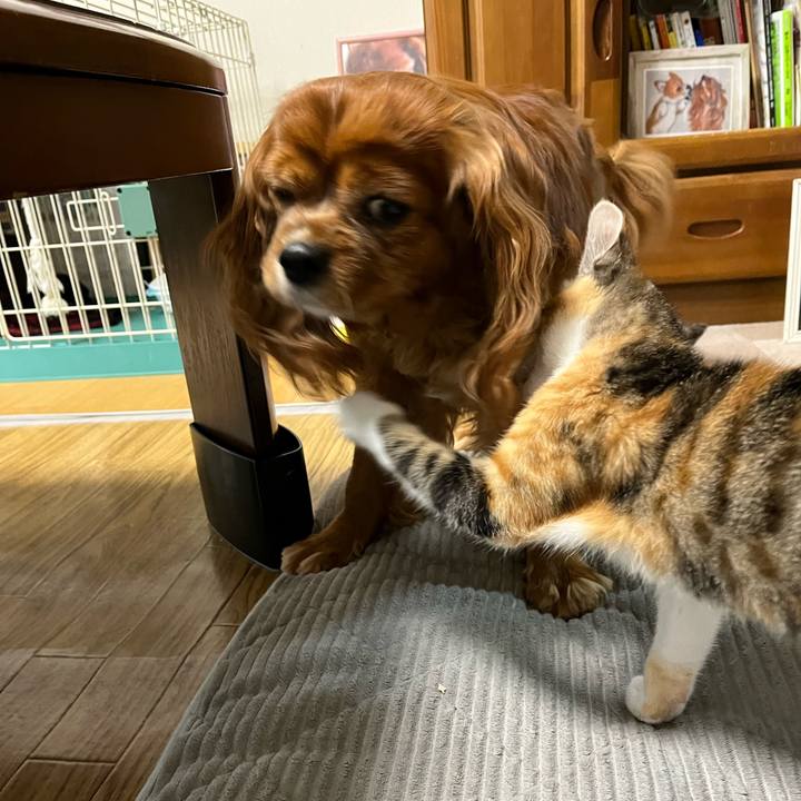 Ec250052 2126 46fd 9694 6a8cae855211 1655245522001