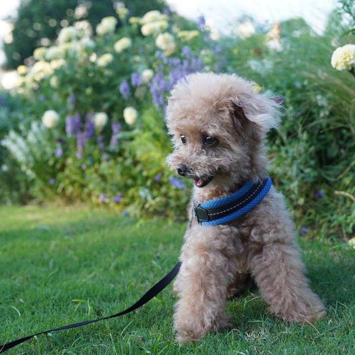 Ec25143f 5e88 4b50 9399 e03e77b67a96 1699879557774