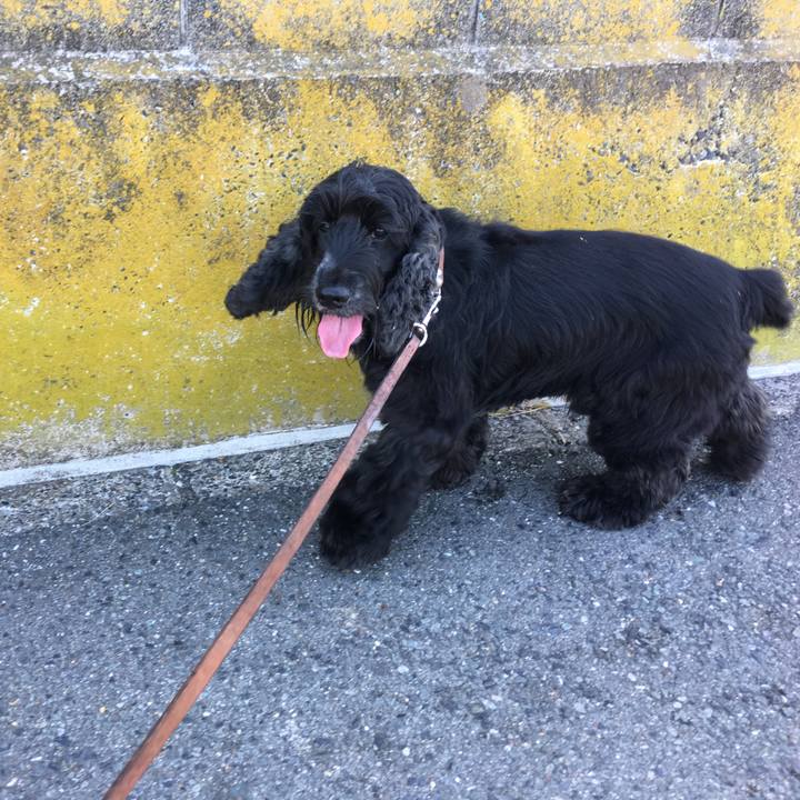 Ec253130 44da 4cf1 a07c 0e225a81287f 1508042744190