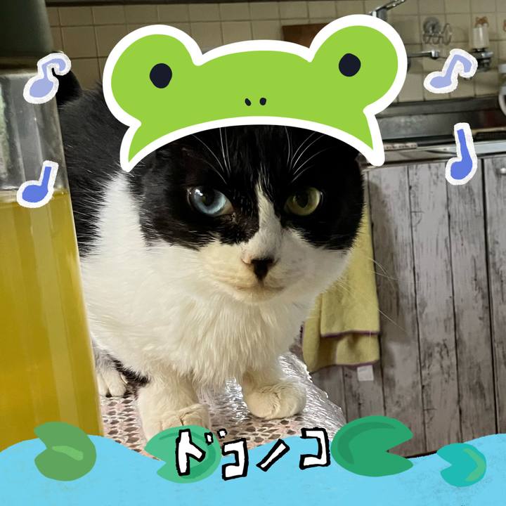 Ec2580d4 ad6b 49dd 9c6c 067402703683 1717922330194