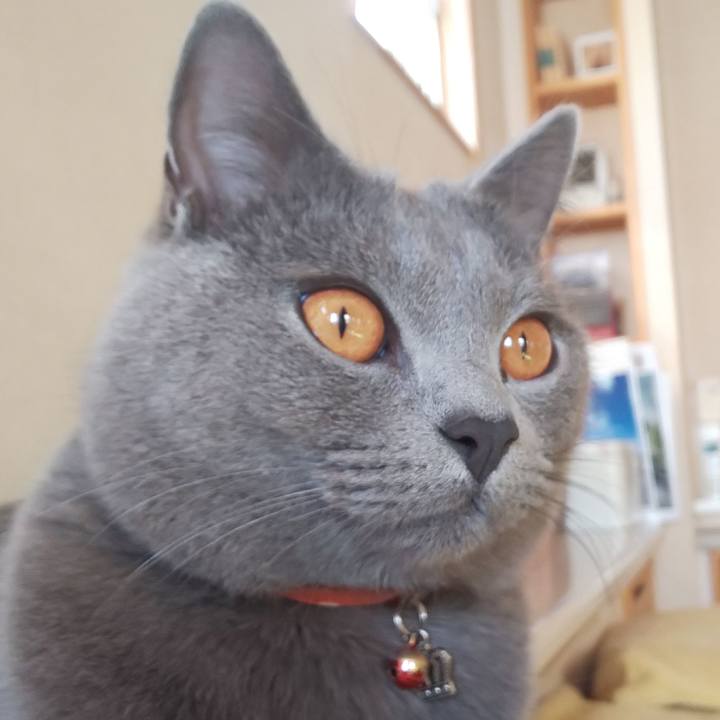 Ec259065 9de3 43d8 844b b1111bcd613a 1540185155140