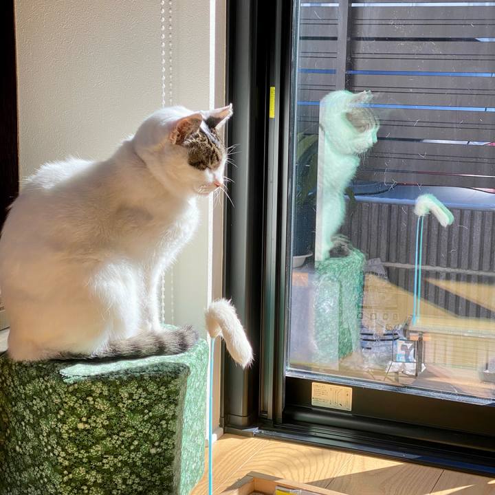 Ec25bd62 77bc 4583 b4f8 19c47dbac516 1671937181319