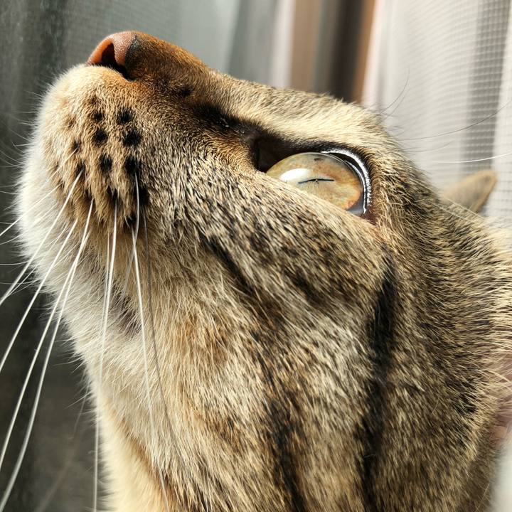 Ec25cb2b 4046 4d21 96cd 9fee1f5b38f2 1522583467607