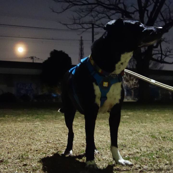 Ec261cce 8cfa 44b1 8b79 07c3e8232dfc 1678282224871