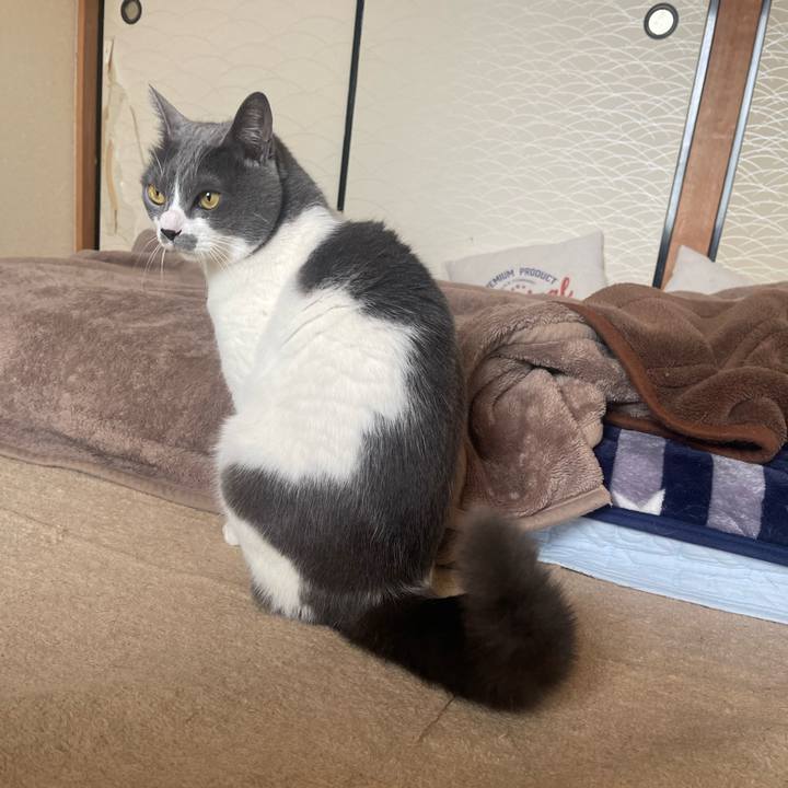 Ec261fa0 98ba 4c65 a097 7f79d94f33e2 1678584062002