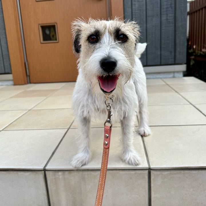 Ec261fd3 ed29 43bc 82a1 480d7da1f9dd 1695028936445