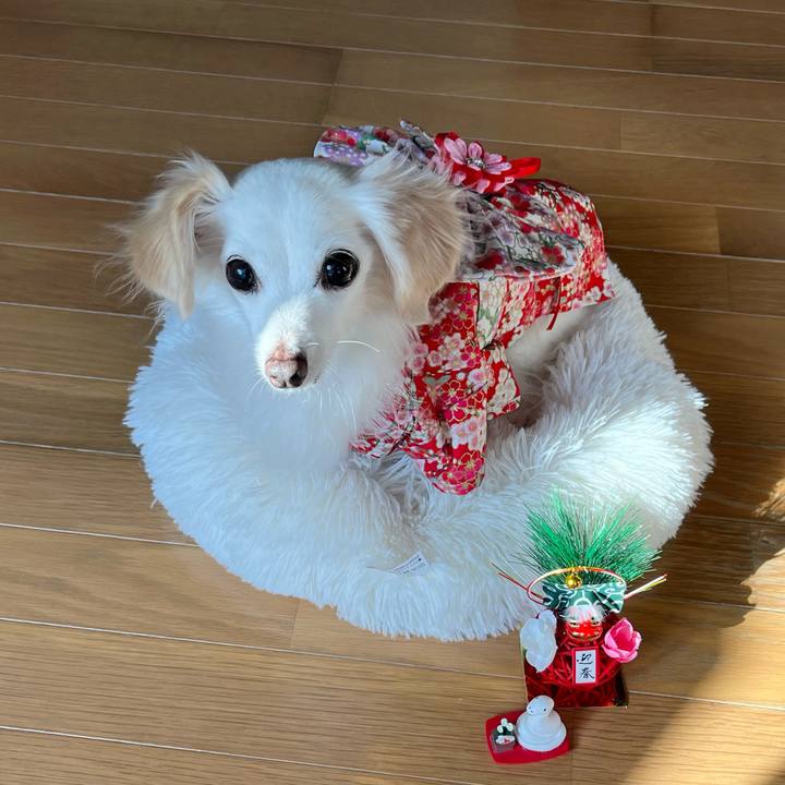 Ec26301e 649b 4d34 a39c 659a4d44858a 1735795869274