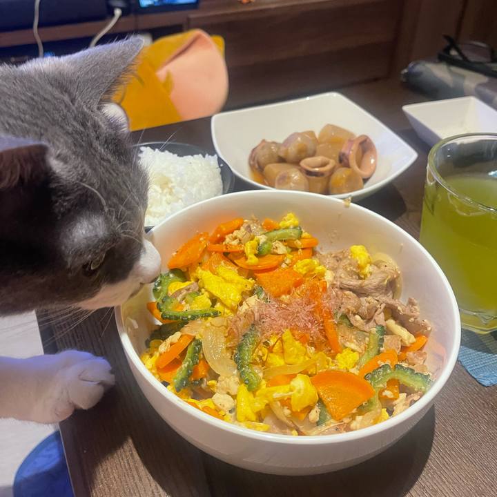 Ec263a3c a98c 45f2 99ed bd42826d4b01 1751973753232