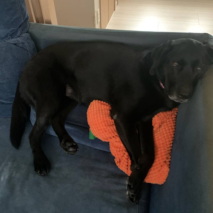 Ec263ae9 5be5 4d1b a32c 081cf30828dc 1676768955889