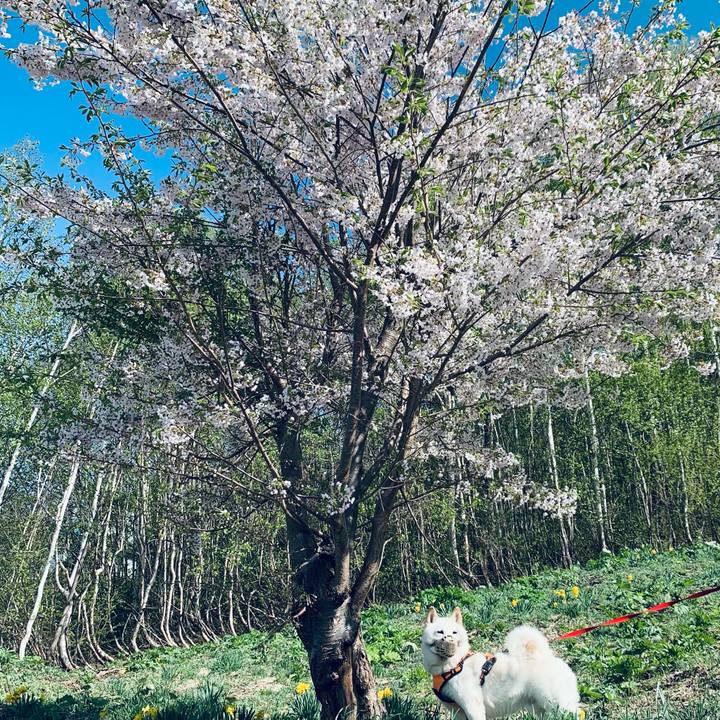 Ec26b87d 92a0 4ae0 9fa9 5abbf742aaaf 1620507764219