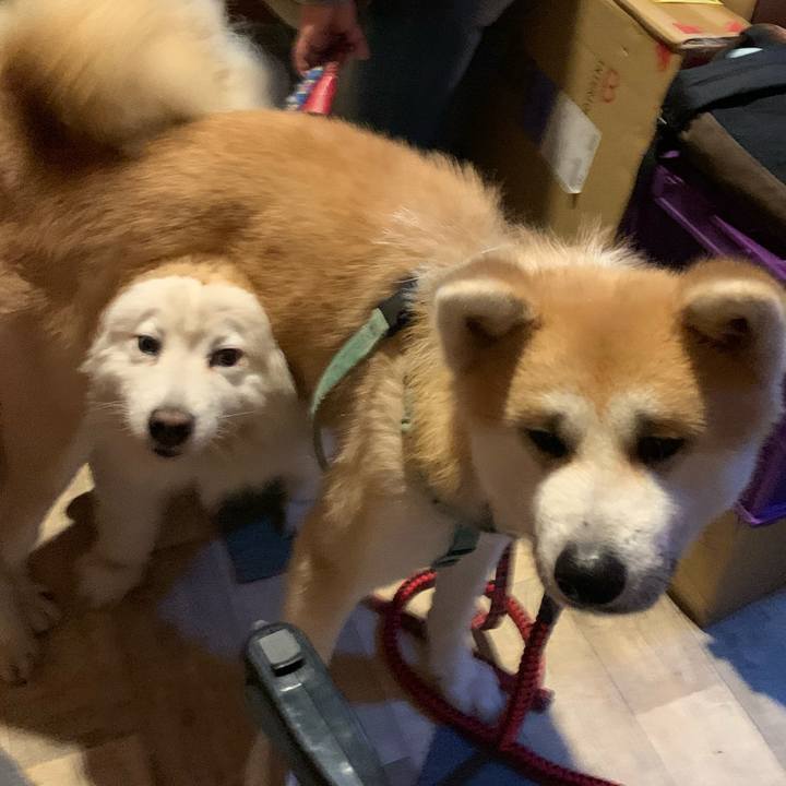 Ec26f09d b43e 4ff7 86db 7b78e64c0761 1706941049604