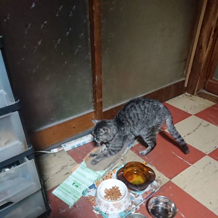 Ec270dcc 8466 4595 826a e021ede3f5e1 1580846579712