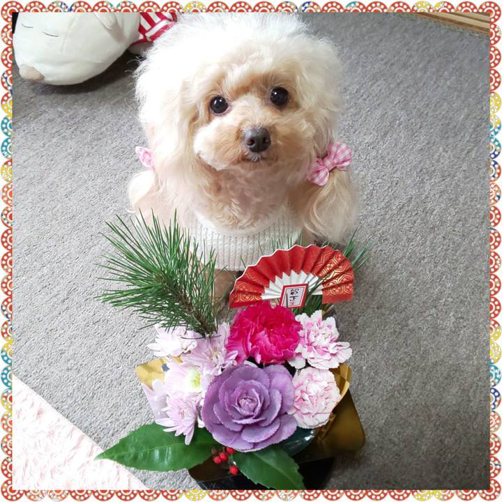 Ec271ccc 94fc 4a38 86bb 8036490cf463 1578558774860