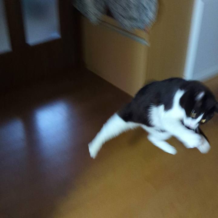 Ec273137 defd 4f8d a2e4 7981b7c115c2 1716448679529