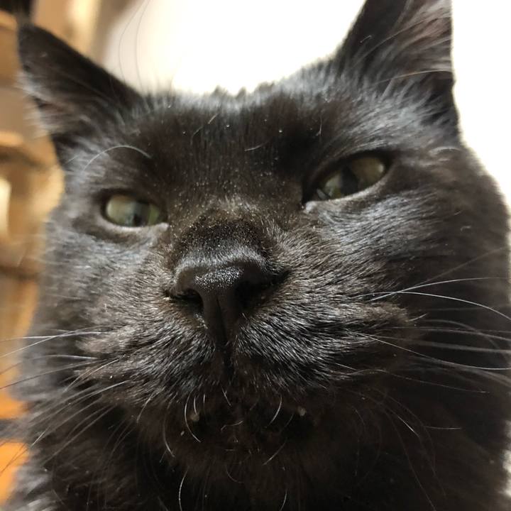 Ec27ae44 a457 46c0 aa00 95ab12e66534 1614421339060