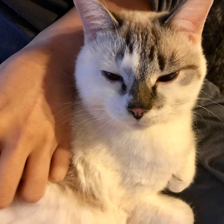 Ec27fe30 cee3 4788 ba8b 90807536e6dc 1510316753300