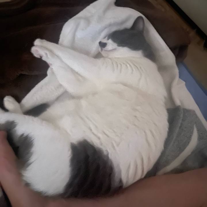 Ec281c0d b084 4c2c 9ce9 d633380210e6 1688678520449