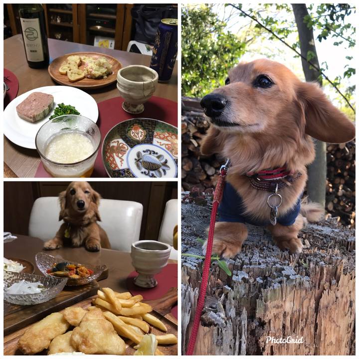 Ec283ee7 ebf0 413e 8e87 b5a40094978f 1587290089354