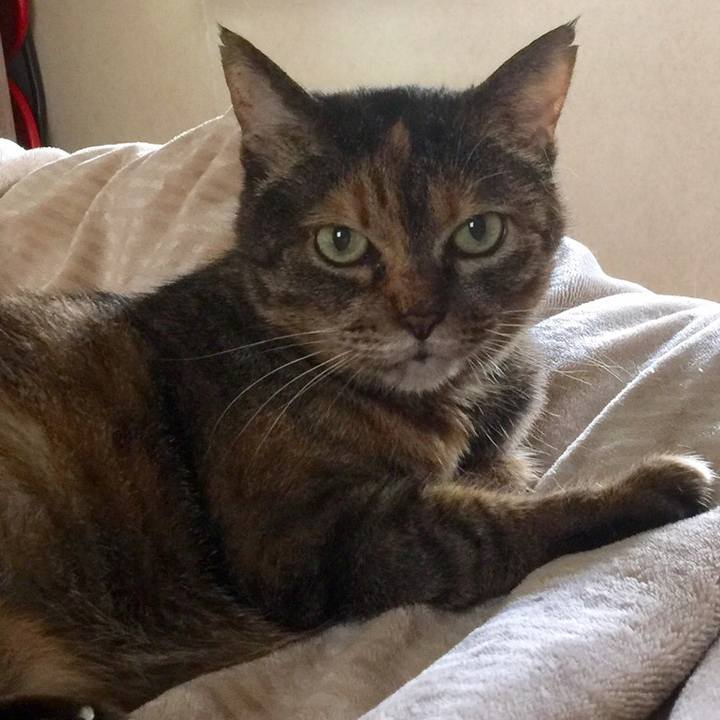 Ec2882c3 4a6c 47ae b0aa 4d1db64c603e 1546872404083