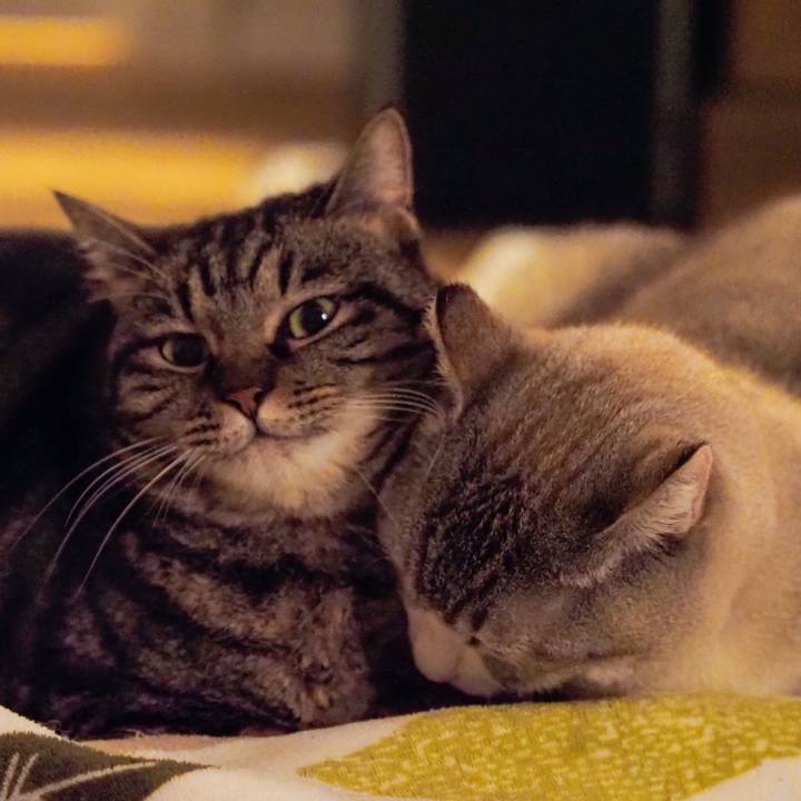 Ec28bf3f 175e 47b5 8aa0 c76a49709d1d 1614691949016