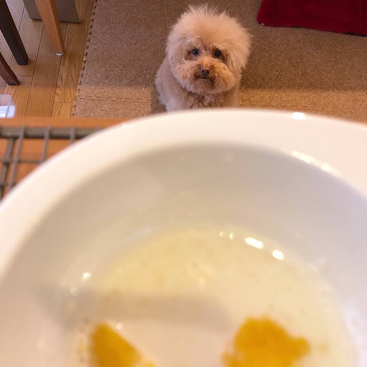 Ec2907c4 4558 478b bcd5 03ce63414c7a 1551001381248