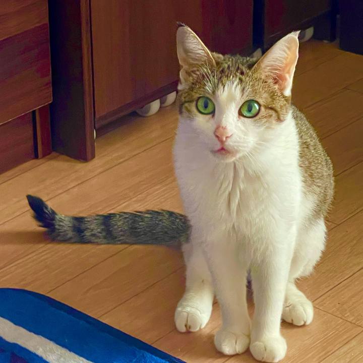 Ec2916e7 b9e9 490b 8e7d 3c0666535468 1628642040019