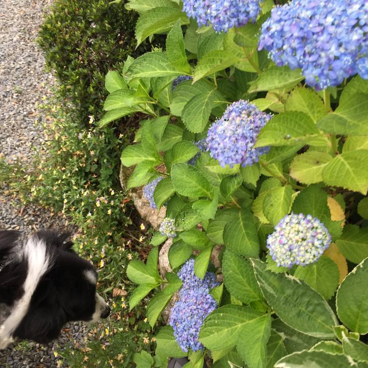 Ec291d8d 344e 4572 ae34 f94d95399f5d 1559687505878