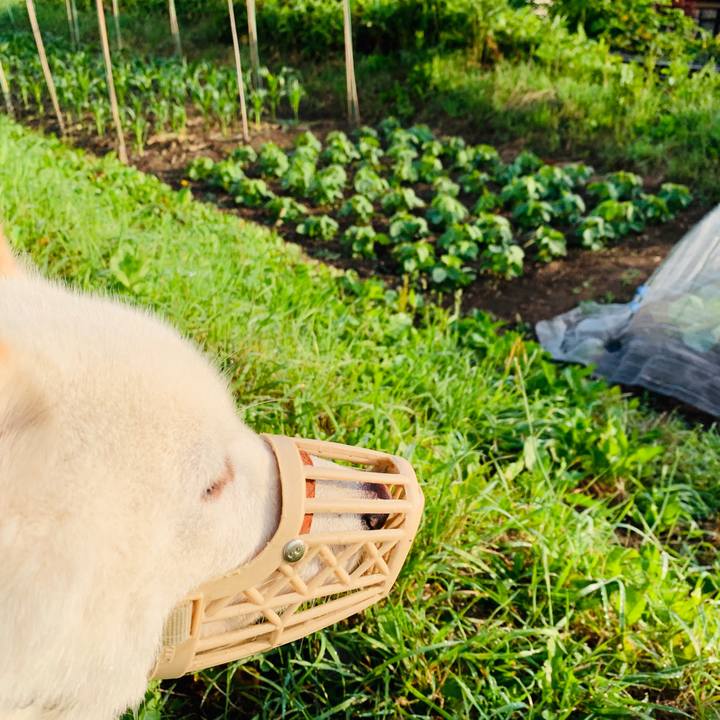 Ec2923d9 35dd 4d95 850e 4e1efd8d5f5f 1561841547758