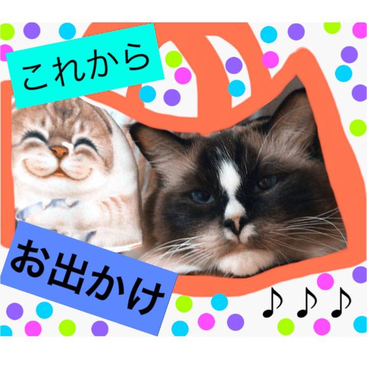 Ec294245 a029 4afc 9875 ff2b39fa266d 1508163506317