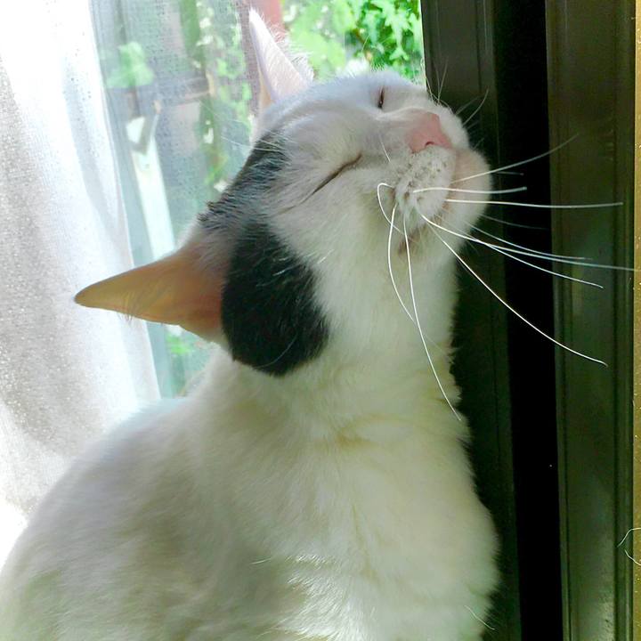 Ec296a76 f150 4f2e a746 1611b5fbdca2 1587097412917