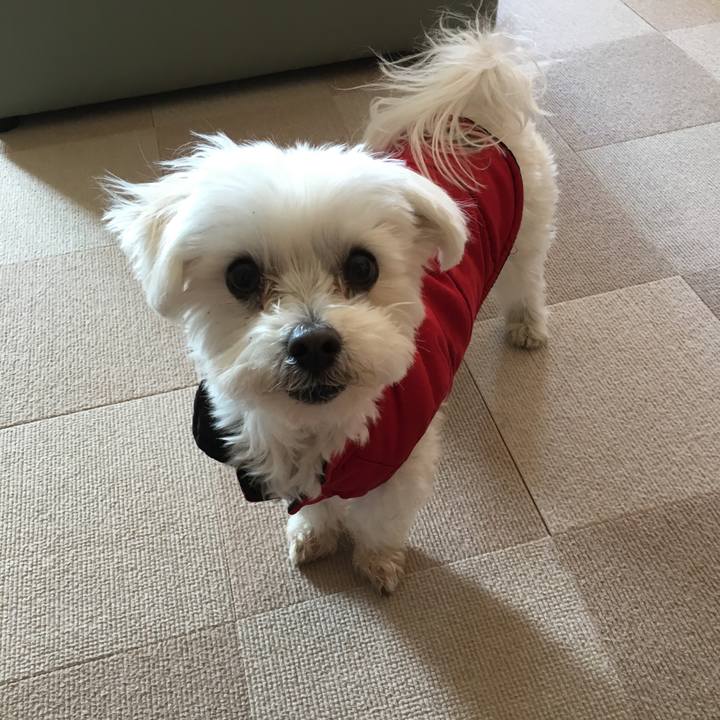 Ec29809e 0084 4264 b45d 1ef70a888e14 1550459333499