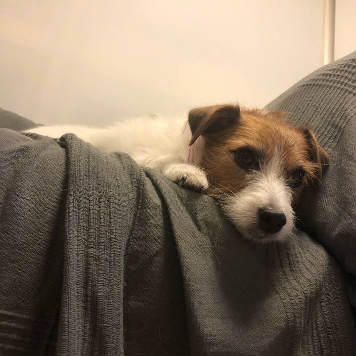 Ec298fda 444e 43d7 b6a6 838da4050de1 1601378131613