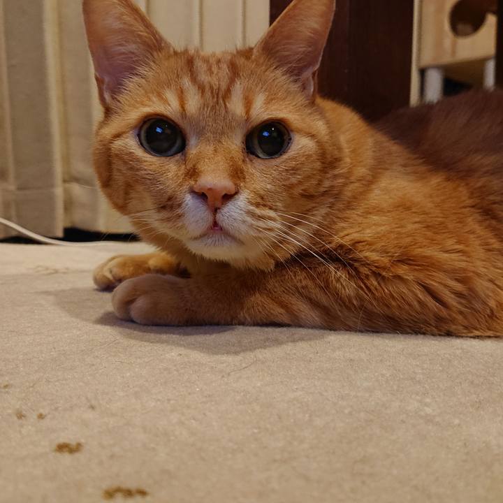 Ec29a12a 3013 4973 ada8 5bc653a5096b 1680442355764