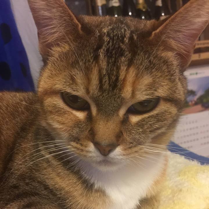 Ec29bb21 f219 45aa ba2d c8916057e473 1549811767851