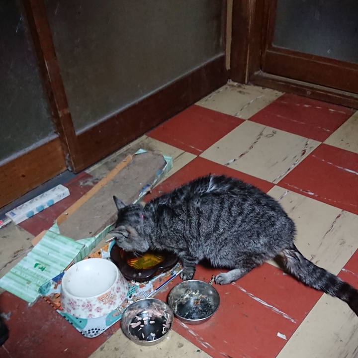 Ec29c013 9766 4d68 bcb2 9cc8fbf773b6 1580587329546