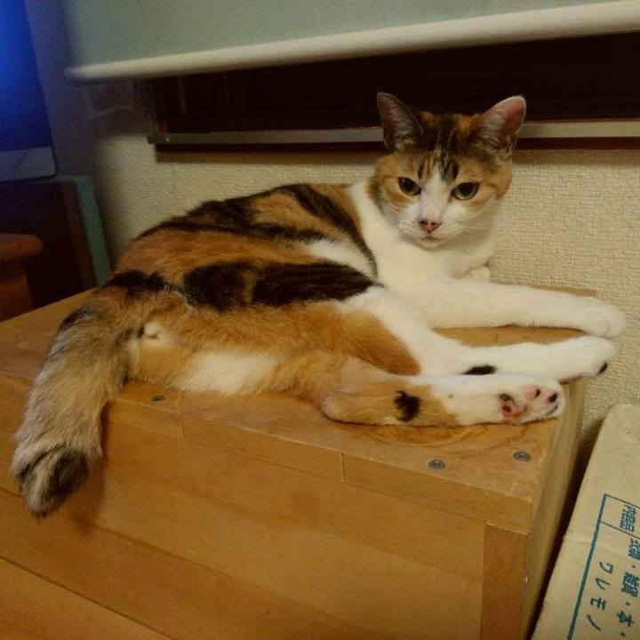 Ec29dab6 da9e 4e07 96b4 d562bdb740c1 1626609990886