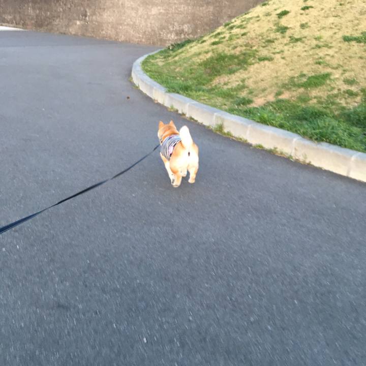 Ec29e882 701d 4b49 ae7d d3589826be57 1554804613025