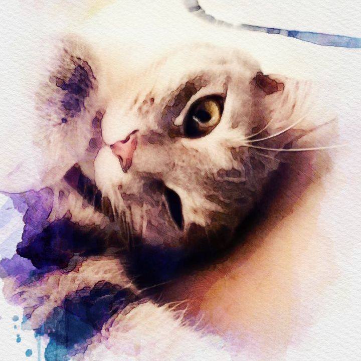 Ec29fc9e 2caf 4813 87bc cadebebdee40 1528938524897