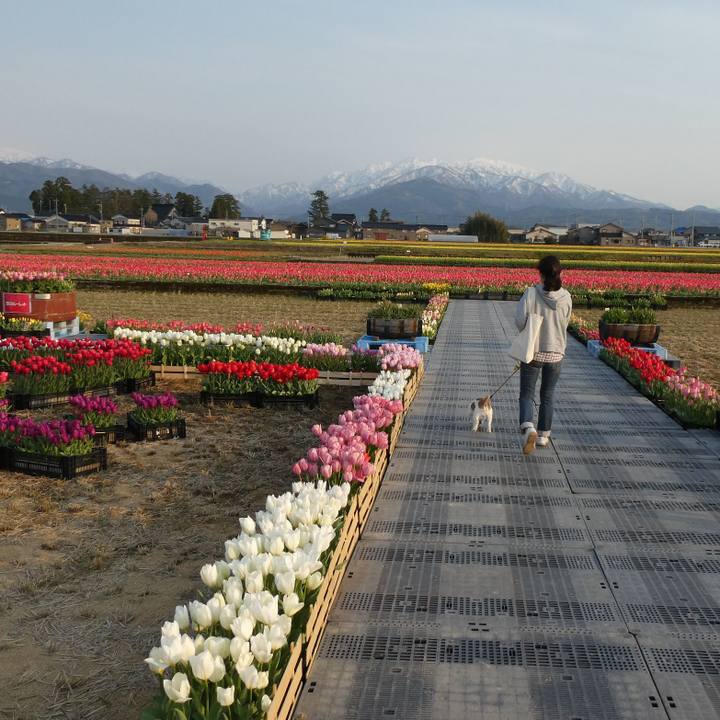 Ec2a067c 44e1 47e7 b95a 1e1aab2e5ea4 1586953126801