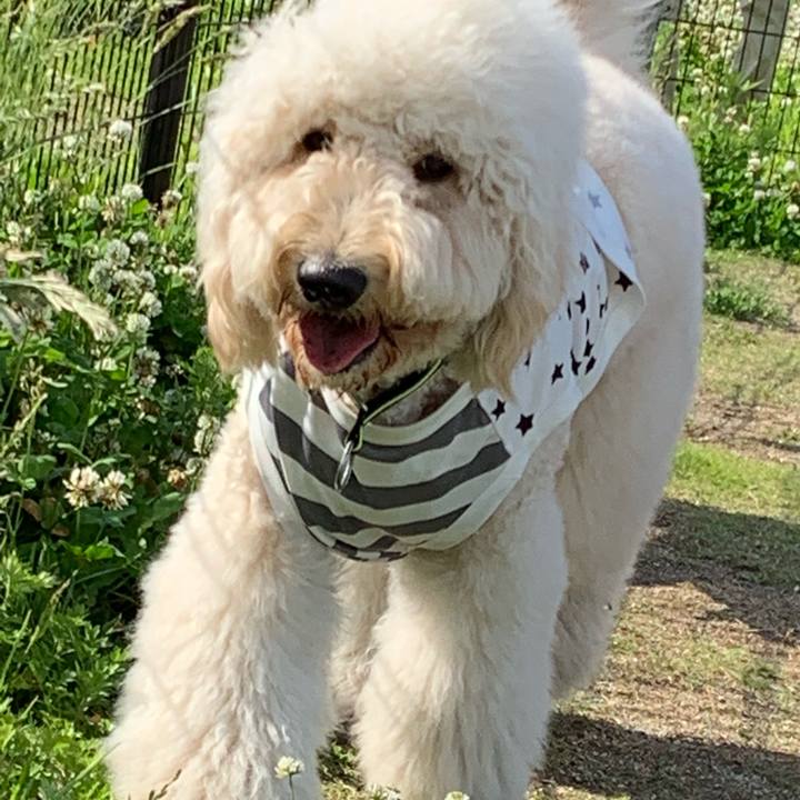 Ec2a2687 fb26 4cd1 a2c4 3ec7ebde9e80 1559512972906