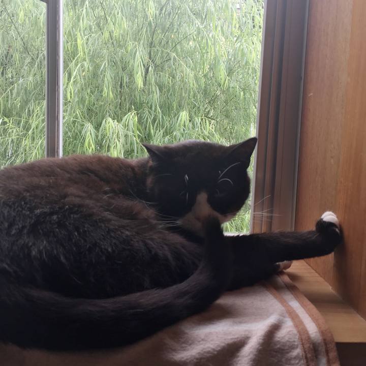 Ec2a4ff1 5a2d 491d adbf 778aa5ded779 1566864488904