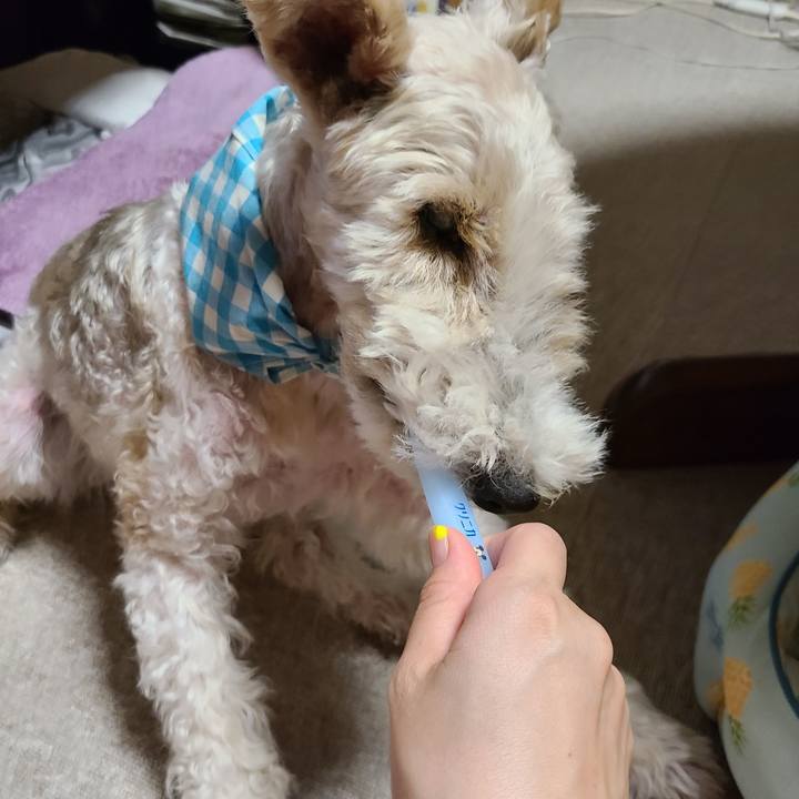 Ec2a526d 416c 4b50 85bc ddbf2b5dcef8 1660691877531