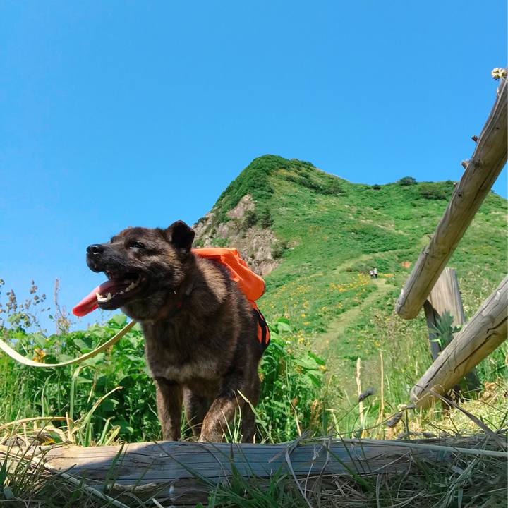 Ec2a94c4 91e5 4752 a852 674430625c00 1528005998279