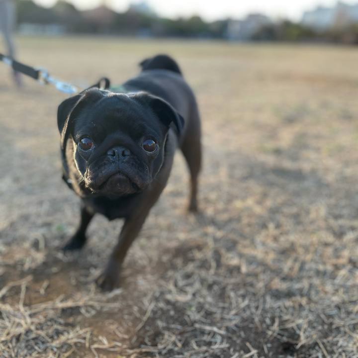 Ec2a977b 91d5 4954 837f 3e28f14584cf 1614052113872