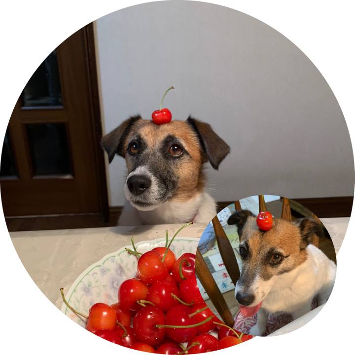 Ec2aa79b d957 48d9 8e58 c4c321758977 1656334780835