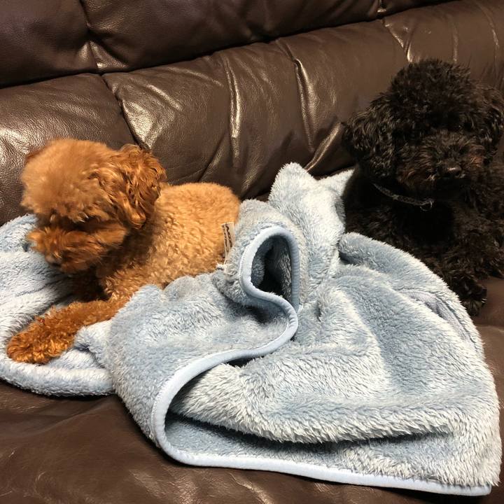 Ec2aab2a 0ad3 4d39 98bf 6b3f5c7bf990 1545921182989