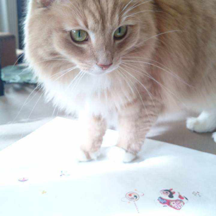 Ec2ab8d3 deed 4f73 a026 424d74a5d9a1 1514865309040