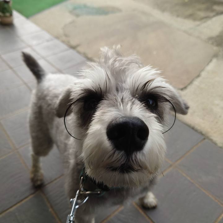 Ec2ac983 595a 4076 ab3c cb3afd9d5f16 1757978880720